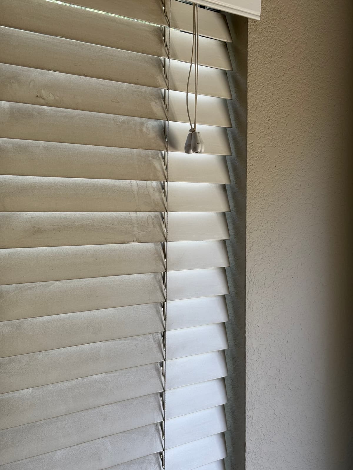 Deep Clean Refrigerator Image